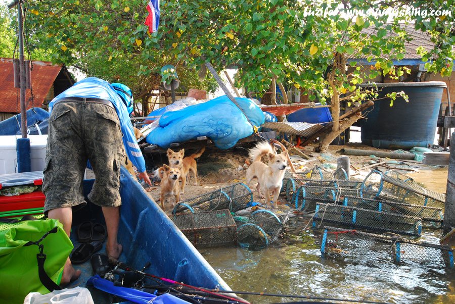 ใต๋แวะเอาของ เจอหมาติดเกาะ

บอกใต๋ว่าหมาน่าสงสารนะครับ

ใต๋บอก .. มันว่ายน้ำข้ามได้

^^"