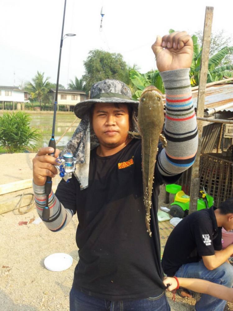 นี่ครับคนทำเหยื่อ เดี่ยว ดี-ทู จัดตาม ๆ กันมาเลย