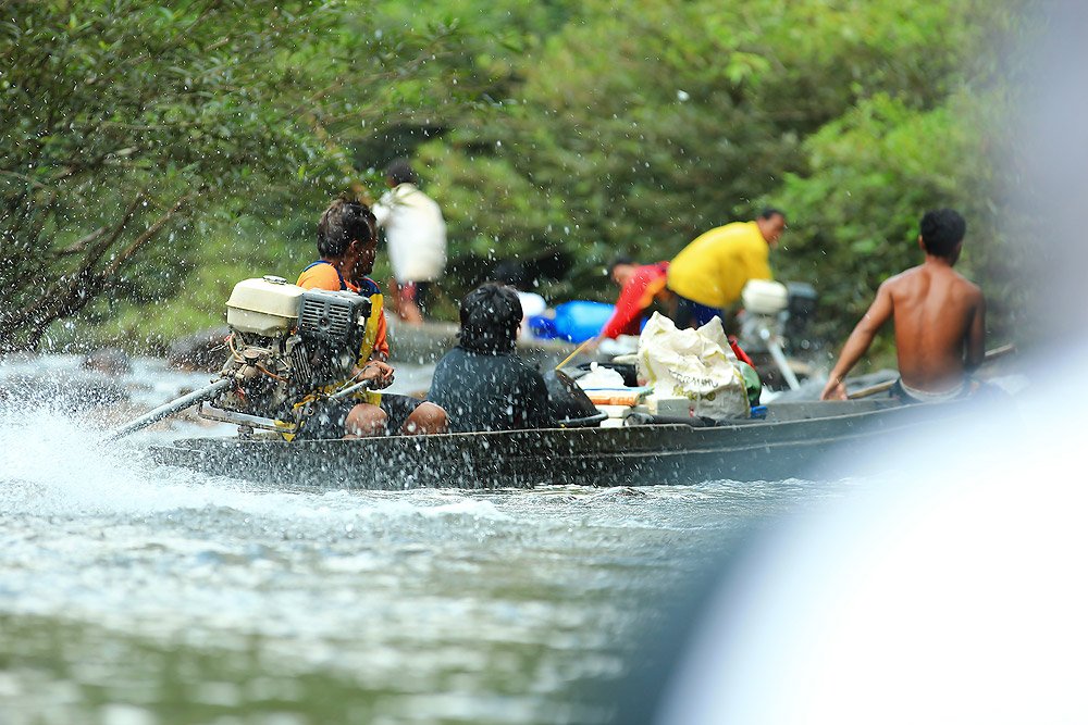 Take adventure in the virgin forest