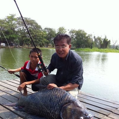 Siamese giant carp !!!