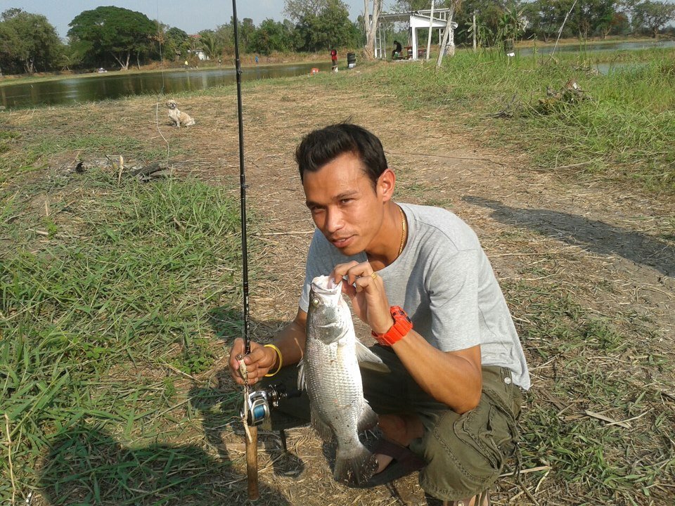 Barramundi, Silver perch !!!