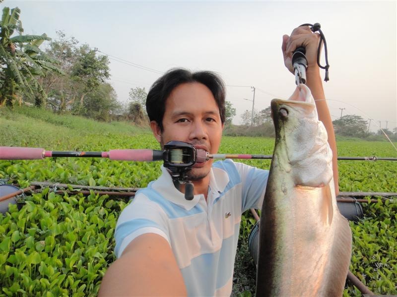 จิ๊คๆ เจริคๆ สดุดปลากราย +++++: SiamFishing : Thailand Fishing Community