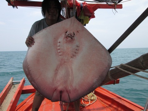 ลากันด้วยภาพนี้นะครับ ขอบคุณสำหรับคำติชมครับ สวัสดีครับ