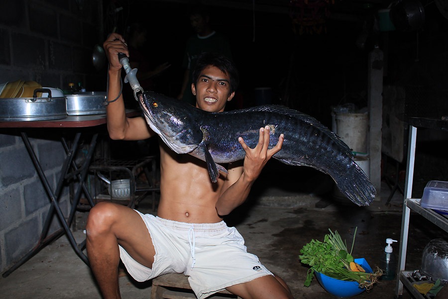 สักรูปครับ ไม่ค่อยจะมีกะเขาเลย :cheer: :cheer: :cheer: :laughing: :laughing: