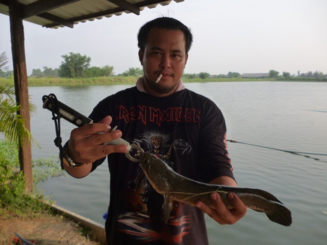 บุหรีเป็นอันตราบ ต่อสุขภาพ แต่ ไอ้คนที่คาบบุหรี่อยู่ เป็นอันตรายต่อ วงชาเขียวทุกวง  อิอิ