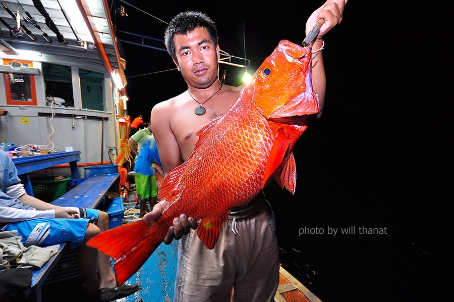 ถอนฟันเสร็จ ขอถ่ายหล่อๆ หน่อย 1ภาพ