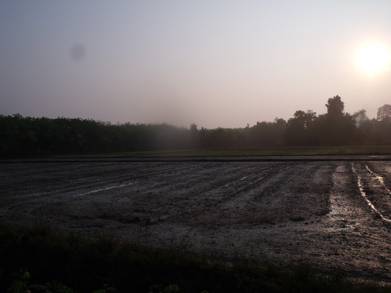 เช้ามืดครับ  สวยมากครับที่นี้อากาศสบายมากเลยครับ
วถีชีวิต ยังเป็นเกษตรกรรมอยู่เลยครับ  สบายๆๆๆๆ :sl