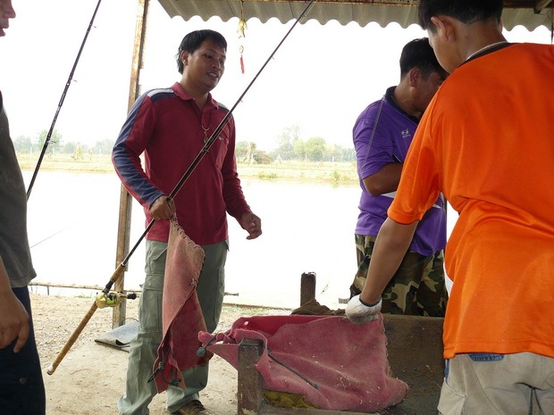 ตามด้วย พี่ช้าง สระบุรี แห้งๆอีกแล้วตัวนี้ :laughing: :laughing: :laughing: