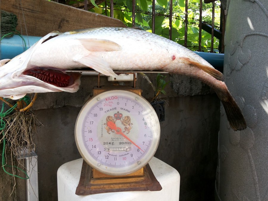 ชั่งตอนกลับมาถึงบ้านครับ