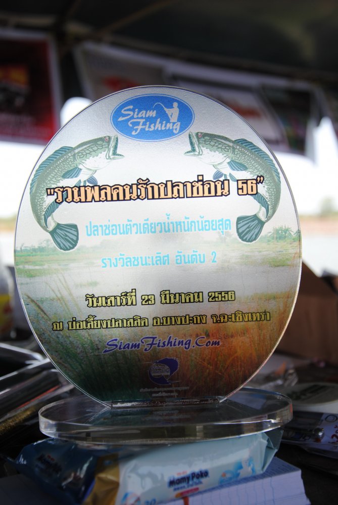 โล่ห์รางวัลของงาน รวมพลคนรักปลาช่อน 56 ค่ะ  :cheer: