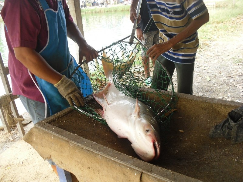 โฉมหน้า ใหม่หมดรุ่นหัวกระสุน :cool: :cool: :cool: