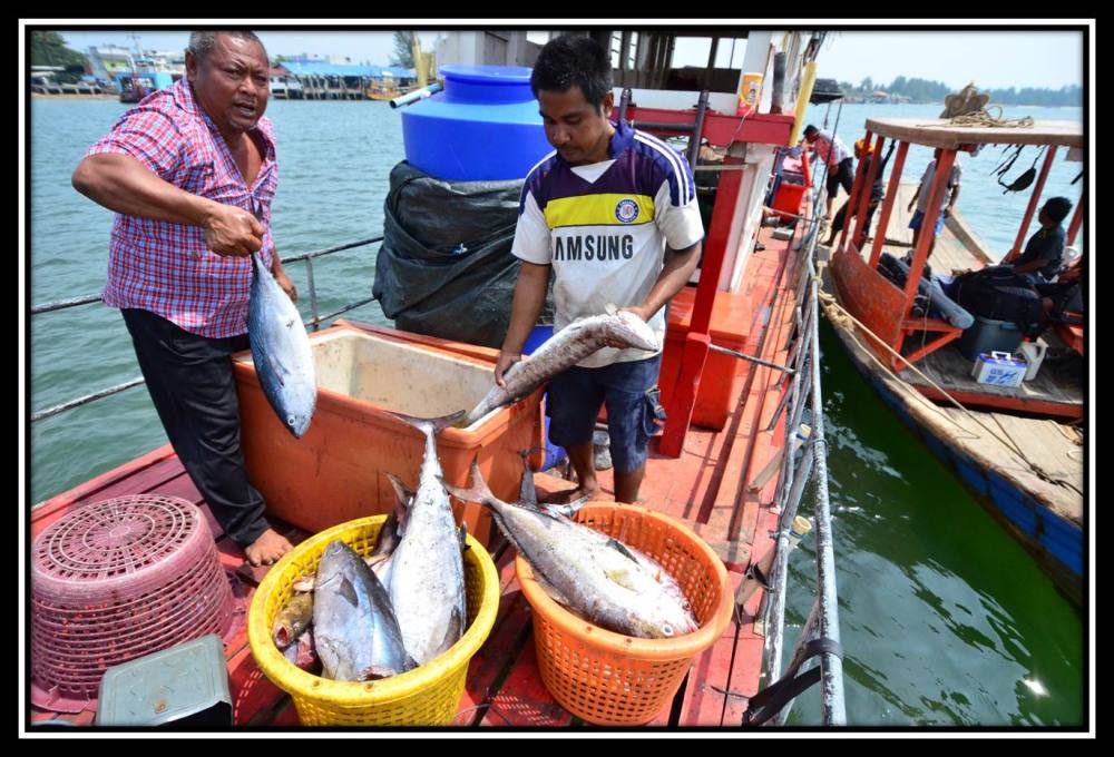 ท้ายเรือ จุมโพ่พี่หมา กับ โจ้กลูกชายไต๋ทอย  ก็ช่วยกันขนปลาขึ้นจากลังครับ :laughing: