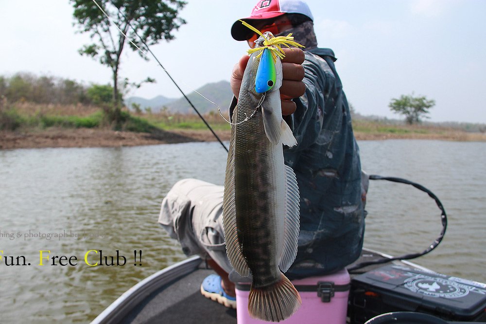 

และที่มาของกระทู้นี้ กบซุปตาร ของน้ายอด 191  :laughing: :laughing: