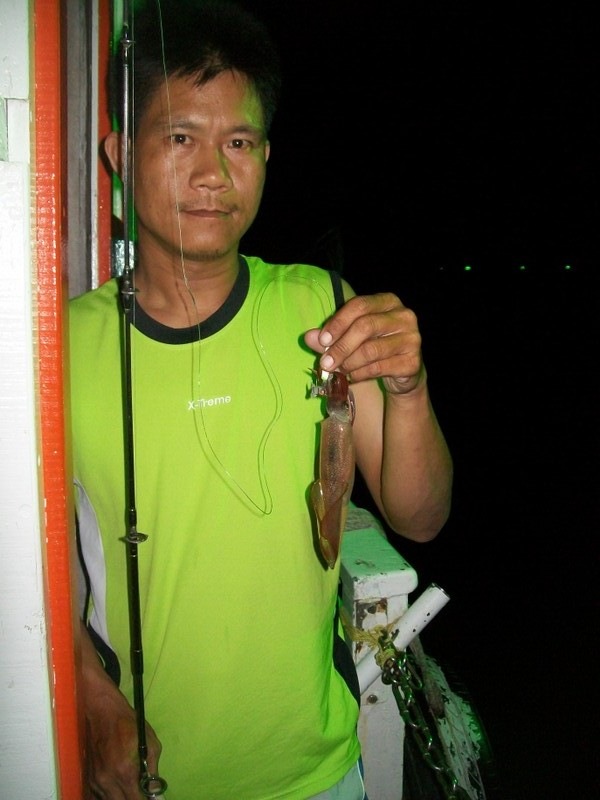 หมึกหาง่ายครับ ตกได้กันเรื่อยๆครับ  :grin: