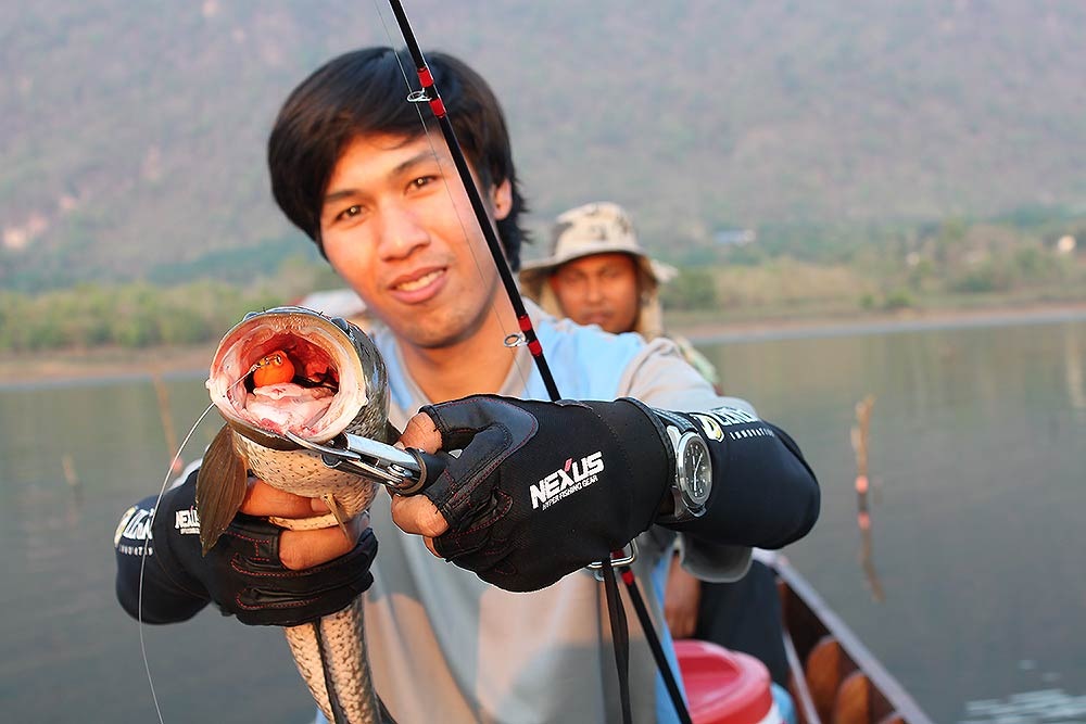 กัดกบยาง :grin: :grin: :grin: :grin: