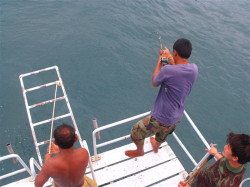 และแล้วจาร์น้าของมันก็มาอัดทางท้ายเรืออีกล่ะ :love: