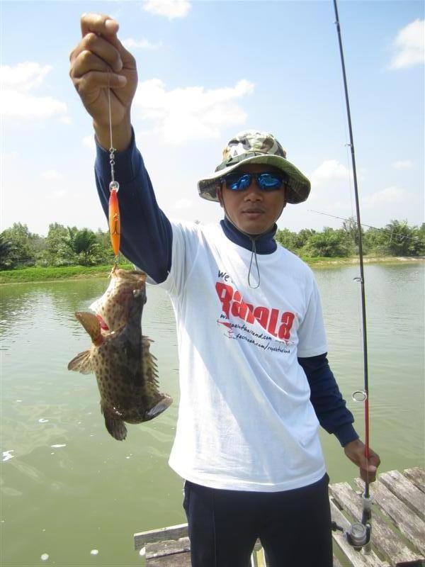 [center]:cheer: เป็นปลาเก๋าเหมือนกันครับ หลุมเดียวกันเลย กัดเหยื่อ RAPALA  X-RAP 8 ครับตัวนี้ของ พี