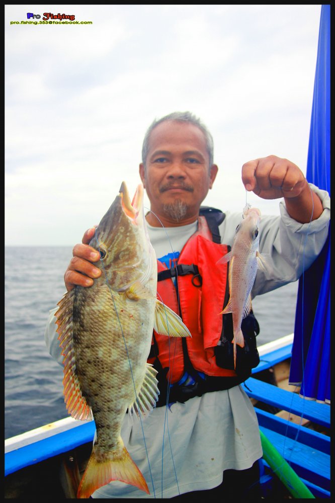 ปลาหัวเสี้ยม...งามๆ ไซด์ขนาดแกงพอดี

 :smile: :smile: :smile: :smile: :smile: