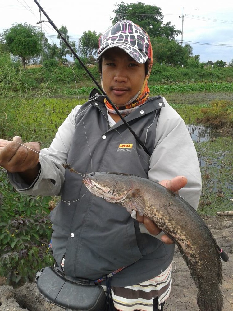 รวมทริปสะกิด  เจ้าช่อน