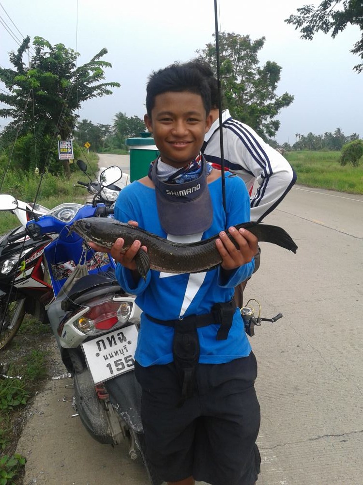 เจ้าช่อนกับน้องชายคนเล็กของผม  บางคนอาจเห็นเขาตามบ่อตกปลาครับ  