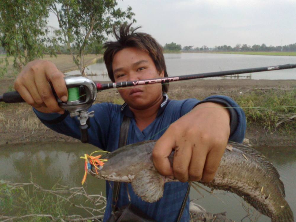 พลานช๊อบพาลุยทุ่ง