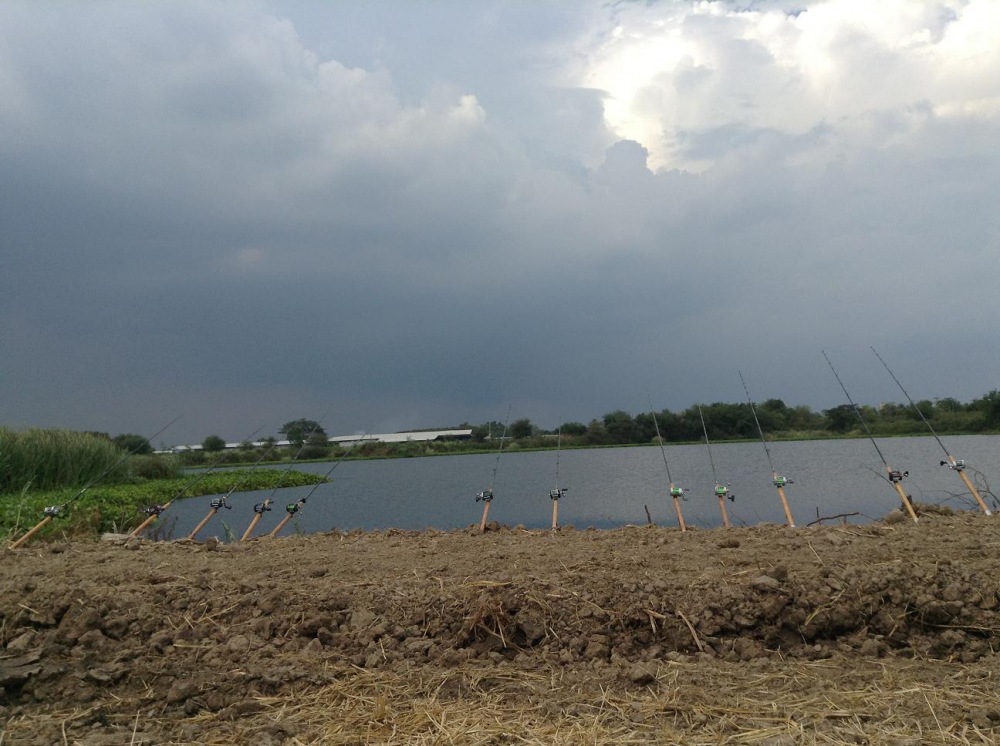 และแล้วเวลาประมาณ 16.00 น. ลมพัดหวนพร้อมกับสายฝนที่เทกระหน่ำลงมาอย่างไม่ขาดสาย พัดพาผักปอดเข้ามาก่อก