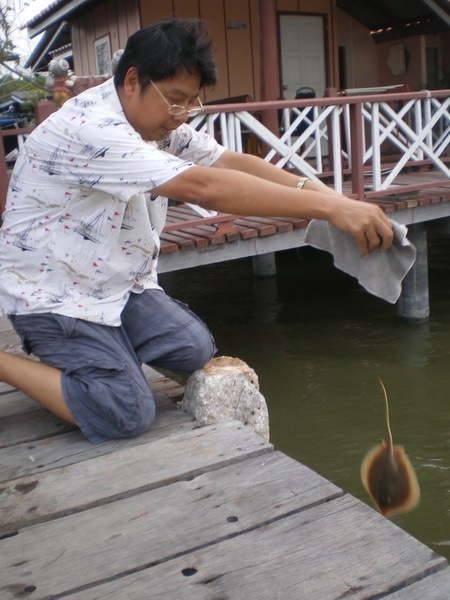 บาย ไปเรียกเพื่อนมากินด้วยหละๆ อย่าลืมนะๆ บอกเพื่อนไปว่าสนุกดีๆ  :laughing: :laughing:
