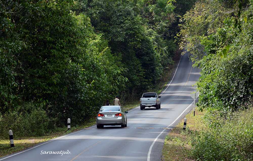 ภาพรวมๆช่วงวันหยุดสงกรานต์กับครอบครัวที่เขาใหญ่ครับ