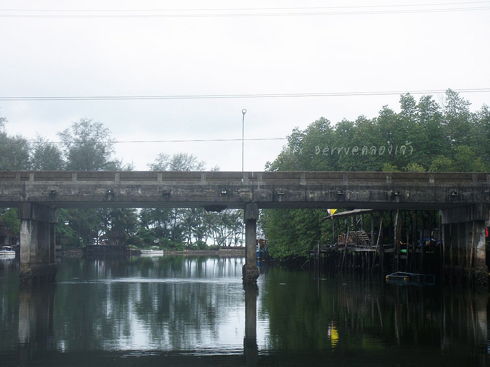 สะพานคลองเจ้า น้าตี๋บอกว่าเจอรังนกนางแอ่น