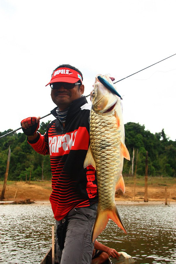 หมายนี้จัด มาสองหน่วย ด้วย เหยื่อ  Rapala Skitter Pop 9  :love: :love: :love: