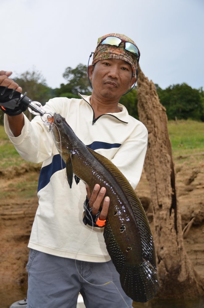 อีกซักรูป กับช่อนข้าหลวง >>>>>>เต็มๆๆๆๆปาก กับตัวเดียวใช้ทั้งทริป....เอิ้กๆๆๆๆๆๆ :love: :love: :love