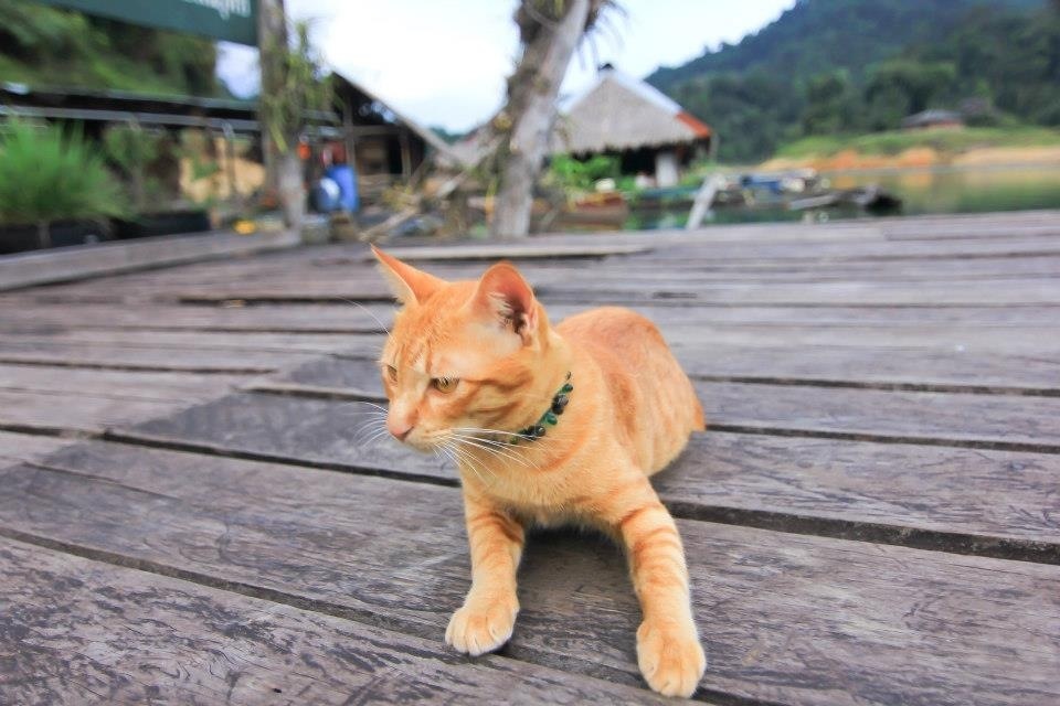 โปรยไว้ก่อนนะ