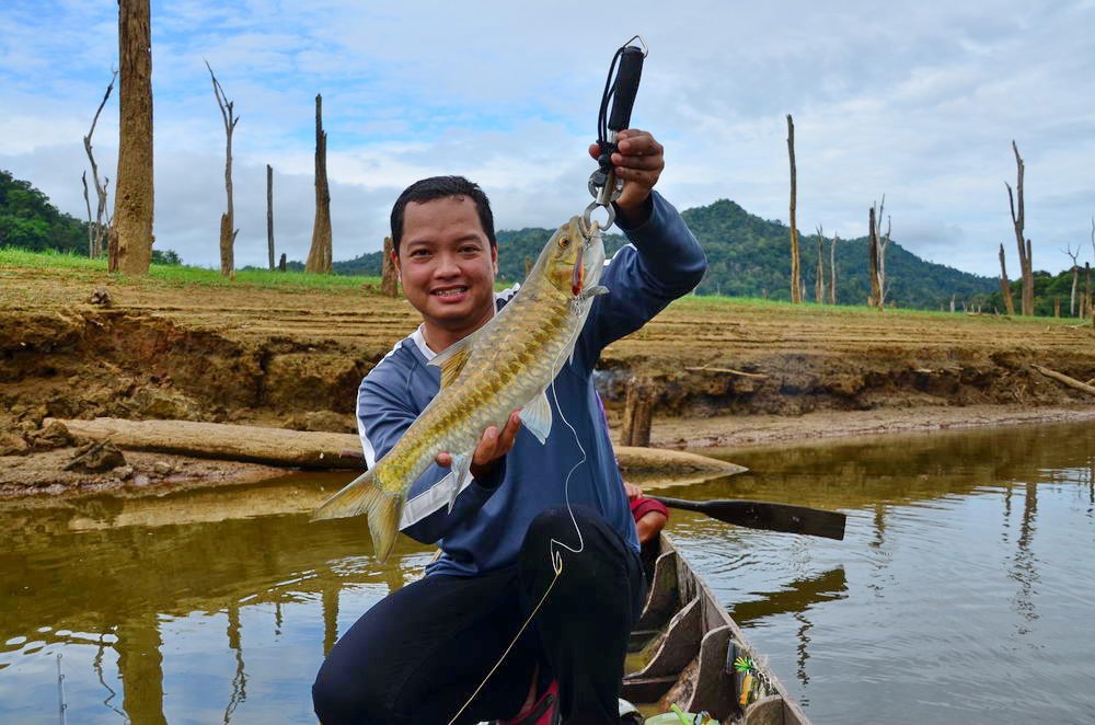  [b]ปลาสวยมาก ภาพนี้ผมชอบ เกร็ดปลาสวย ออกสีทองเลยครับ[/b]  กลับมาดูดูรูปที่แพแล้ว....น้ำตาจะไหลอีกแล