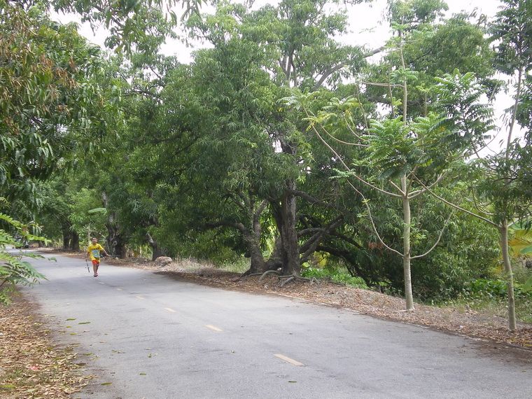 เราปั่นจักรยานเลยนำมันมาก่อน (แบบไม่รู้ทางอะนะ :laughing: :laughing:)
-----------------------------