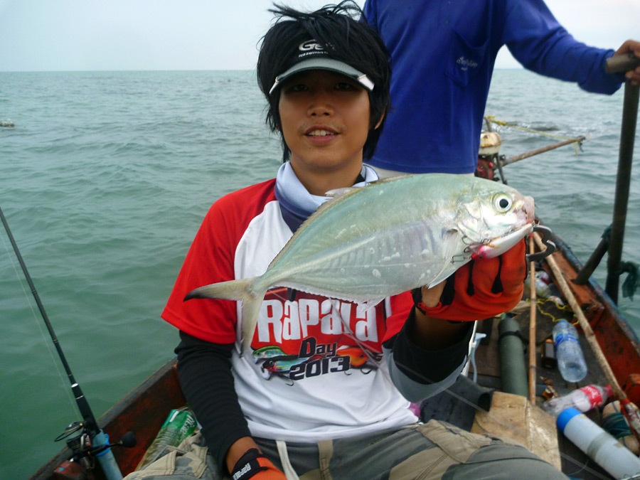  [center]เฮงจริงๆ ฝูงสีขนเกาะผ่านมาขึ้นข้างเรือ เม่นส่ง X-RAP Countdown 5 ไปโดนอีก 

ตอนเย่อไม่มีร