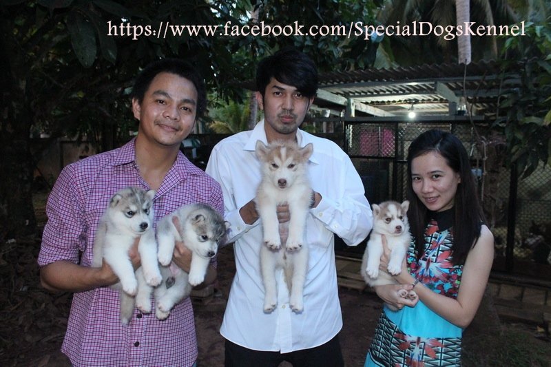 [q][i]อ้างถึง: กฤตfisherman posted: 19-04-2556, 16:55:59[/i]

สี่ขา พอจะแบ่งให้บ้างได้ไม่ครับน้า  