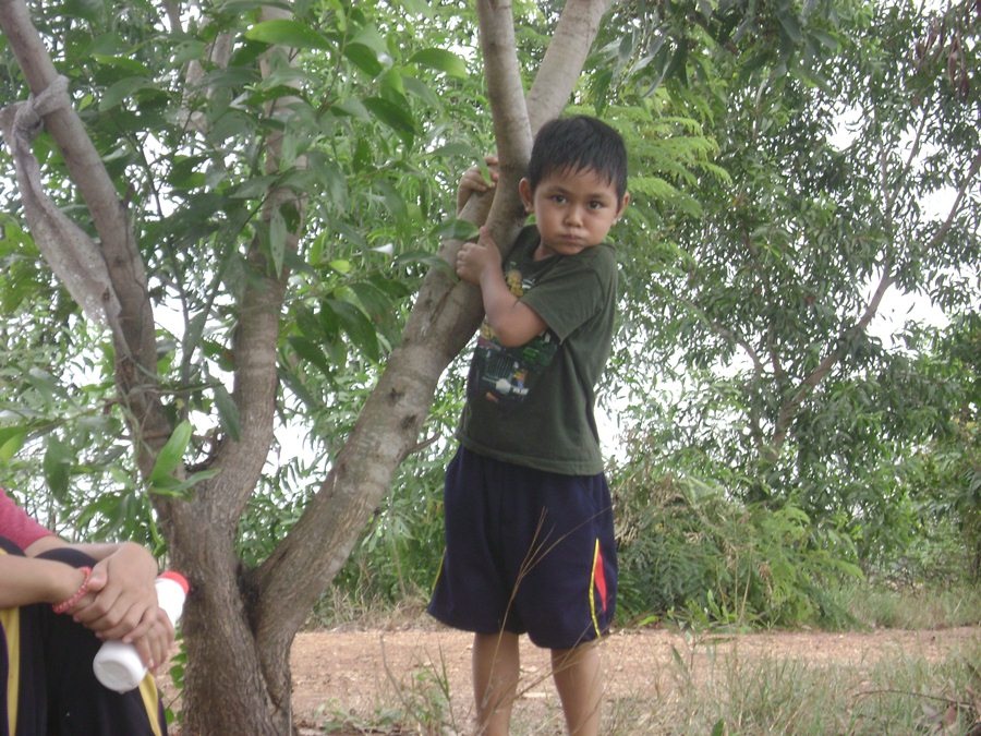 อ้าว...เหลนใครจะกลายเป็น..ลิง..ไปแล้ว... :laughing: :laughing: :laughing: :laughing: :laughing: