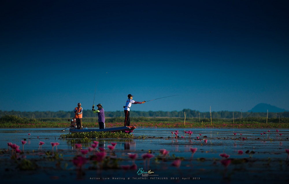 ความคมและไวในโฟกัสของ 70-200 vr II นี่ไว้ใจได้เสมอในความคิดผมครับแค่หามุมแสงแล้วกด ที่เหลือก้อปล่อยใ