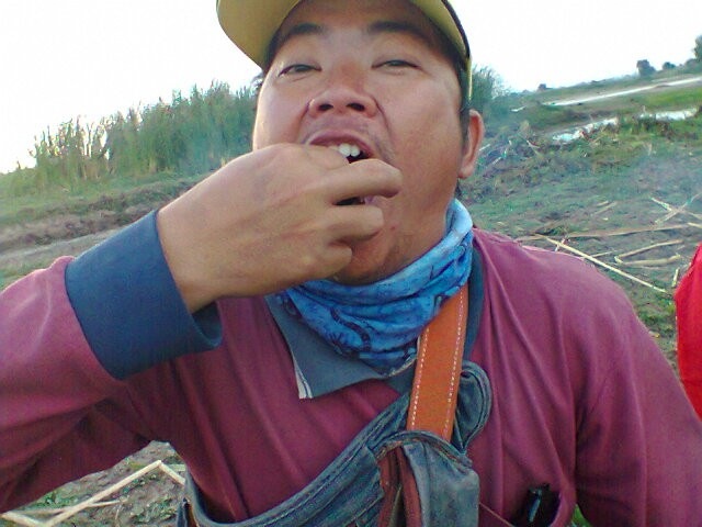 มากินปลาด้วยกันเด้อ น้า              เดี๋ยวจิ๊หาว่าไม่เรียกกินอี้กแหล่ะ :laughing: :laughing: :laugh