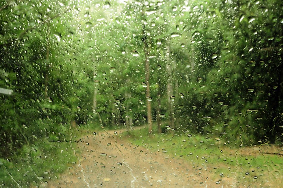 แล้วฝนก็ตก ในขณะที่ผมยังไปไม่ถีงไหนเลย
แต่ผมก็ยังสนุกกับการถ่ายภาพอยู่ :blush: :blush: