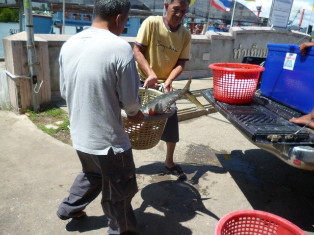 ช่วยกันทั้งแขกและคนเรือ