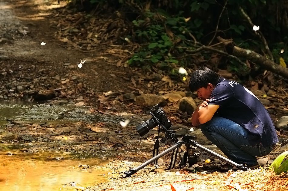 เป็นอีกสถานที่หนึ่ง ที่นิยมมาถ่ายผีเสื้อกัน
แต่ละภาพกว่าจะได้มาต้อง ลงทุน ลงแรง ลงใจ กันอย่างมากครั