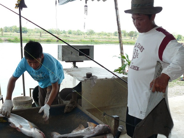 พี่โอ อัมฤทธิ์ จาก กทม.เอามาตัวนี้ 3.00 เป๊ะเช๊ะ ติดช่อง1 ไว้ก่อนเลย :love: :love: :love:
 :cheer: 