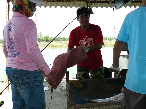 คุณอภิชาติ อ่างทองเอามาตัวนี้ ติดช่องปลาไซส์ 3.50 kg ที่เพิ่มพิเศษไว้ก่อน :cool: :cool: :cool: :cool