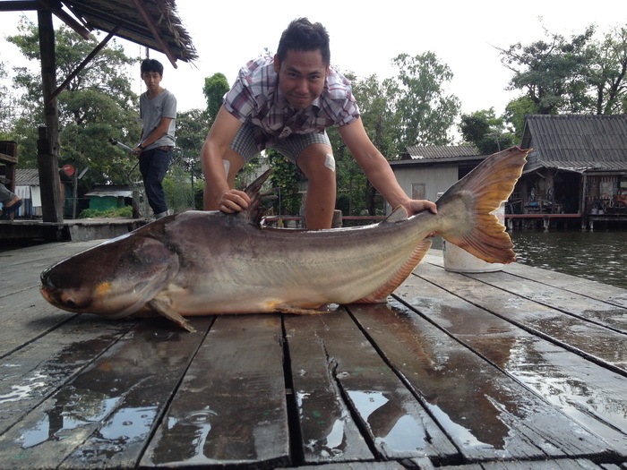 
แจมหน่อยนานๆมาที ต้องนับดูดีๆวันนี้มากี่ตัว  :laughing: