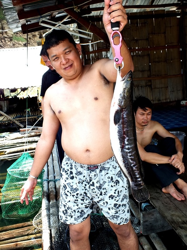 เป็นไง  :laughing: :laughing: :laughing: :laughing: :laughing: :laughing: :laughing: :laughing: :lau