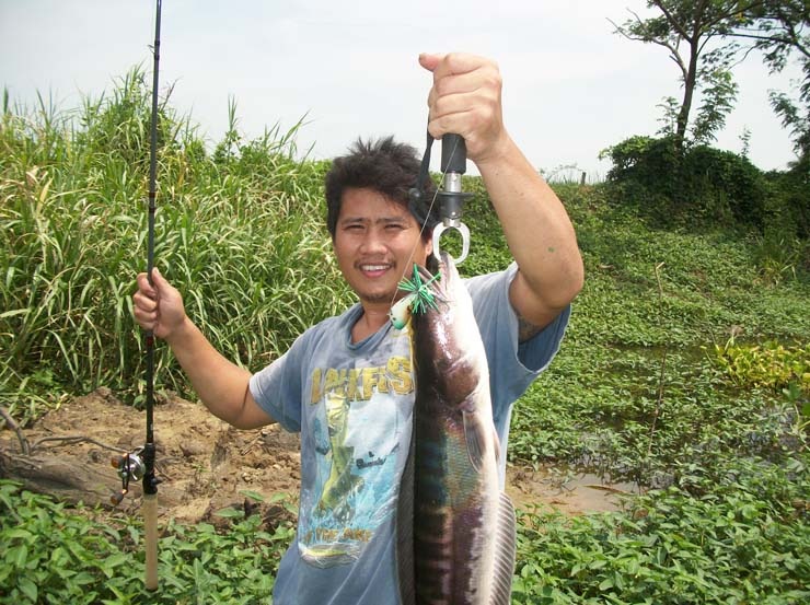 มาแล้ววววววว ตัวแลก กัด กบโทน อ่ะ จิบหัวขึ้นมาตีกบใส่ โดนเลย   :grin: