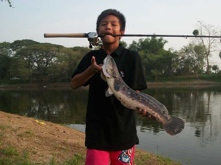 อีกตัวมาติดๆ :grin: