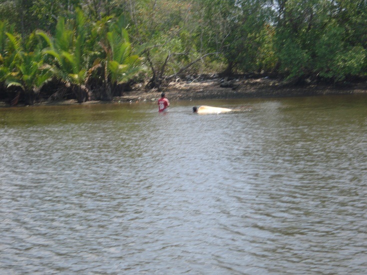 นั่งเรือกันมาซักพัก  อ้าววว  คว่ำไปแล้ววครับ :laughing: :laughing: :laughing: