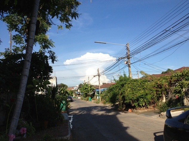 ลาน้าๆไปด้วยภาพนี้ครับ 


ดอกเห็ด ที่ใหญ่ ที่สุดในประเทศ อิอิอิ. 


โอกาศน้าเจอกัน V.4 นะครับ 
